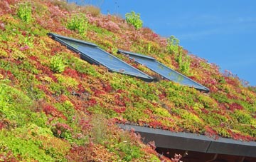Furleigh Cross living roof systems