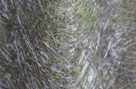 Furleigh Cross fibreglass roof work